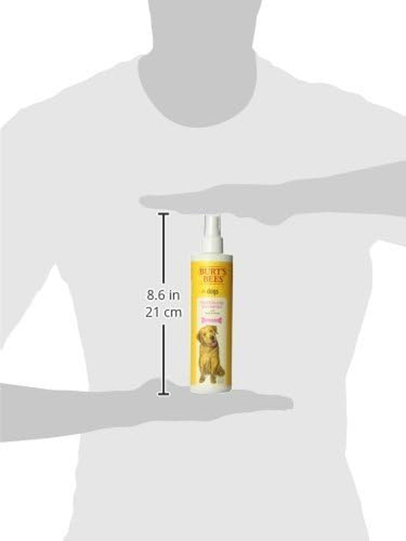 Waterless Shampoo Spray for Dogs with Apple and Honey, 99.1% Natural Origin Formulas, Waterless Dog Shampoo - Gentle Dry Shampoo for Dogs, Best Dog Shampoo, 10 Oz